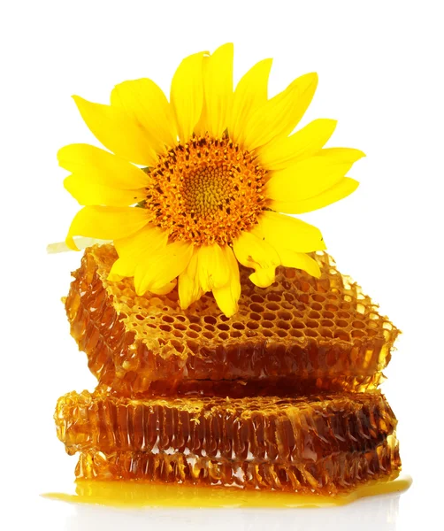 Sweet honeycombs with honey and sunflower, isolated on white — Stock Photo, Image