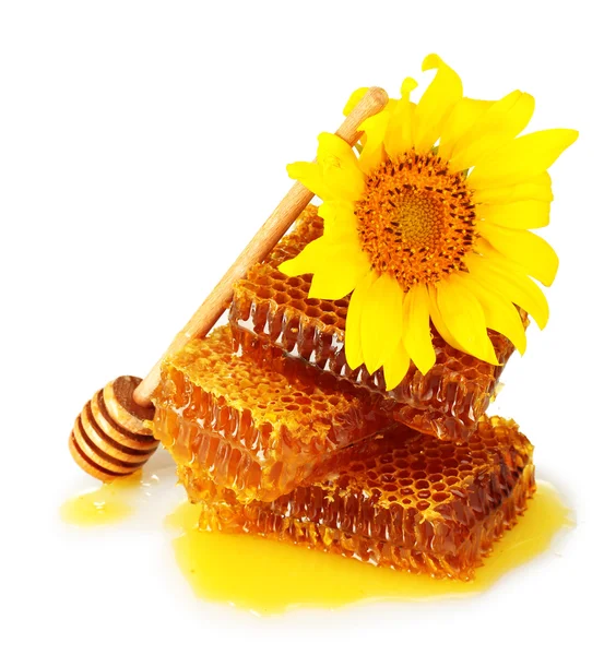 Süße Waben mit Honig, Holztröpfeln und Sonnenblumen, isoliert auf weiß — Stockfoto