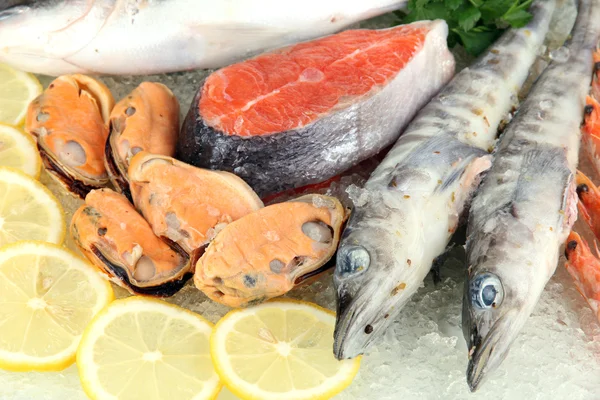 Fresh seafood on ice — Stock Photo, Image