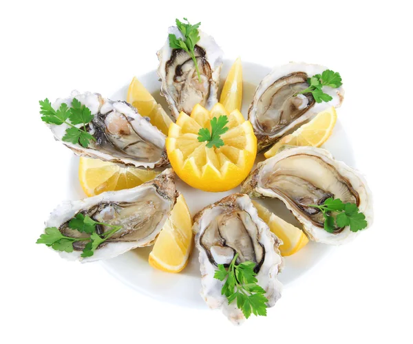 Oesters geïsoleerd op wit — Stockfoto