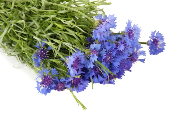 Beautiful bouquet of cornflowers, isolated on white — стоковое фото