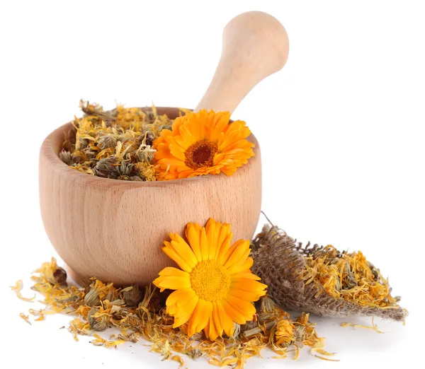 Fresh and dried calendula flowers in wooden mortar isolated on white — Stock Photo, Image