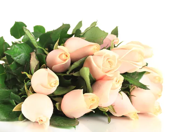 Piękny bukiet róż, na białym tle — Zdjęcie stockowe