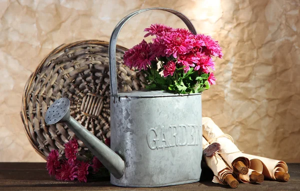 Bouquet de chrysanthème rose en arrosoir sur table en bois — Photo