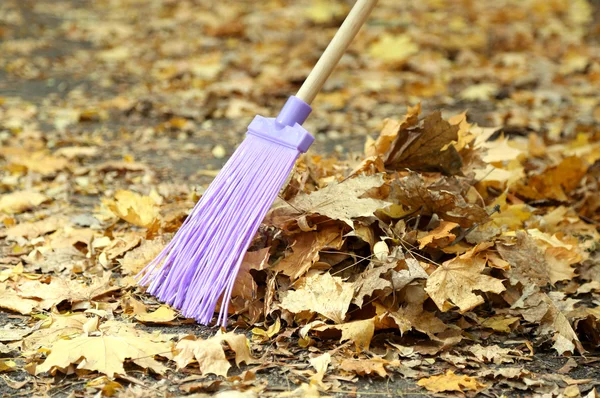 Pulizia di foglie di autunno in parco — Foto Stock