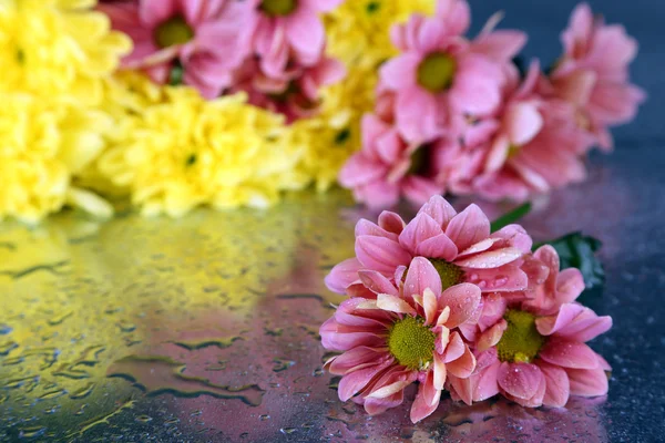 Όμορφα λουλούδια επάνω ελαφρύς υπόβαθρο με σταγόνες νερό — Φωτογραφία Αρχείου