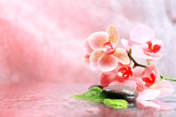 Composition with beautiful blooming orchid with water drops and spa stones, on light color background — Stock Photo, Image