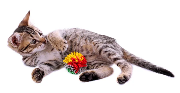 Malé kotě s míčem izolovaných na bílém — Stock fotografie