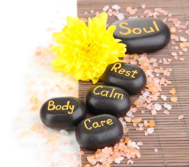 Beyaz üzerine izole spa taşları