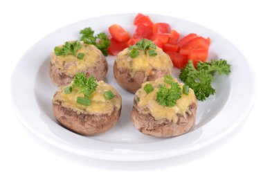 plaka üzerinde beyaz izole mantar dolması