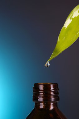 yaprak mavi zemin üzerine düşen damla