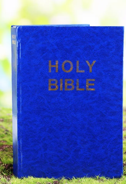 Bible on grass on natural background — Stock Photo, Image