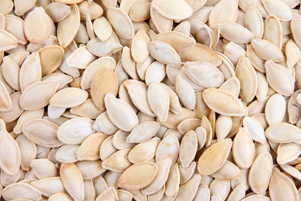 Pumpkin seeds close up — Stock Photo, Image