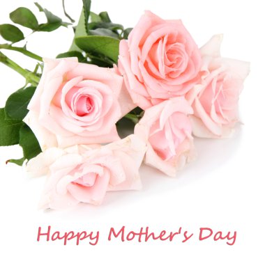 Beyaz üzerine izole edilmiş güzel güller.