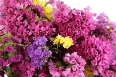 güzel yaz çiçek üzerinde beyaz izole