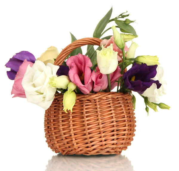 Bouquet of eustoma flowers in wicker basket isolated on white — Stock Photo, Image