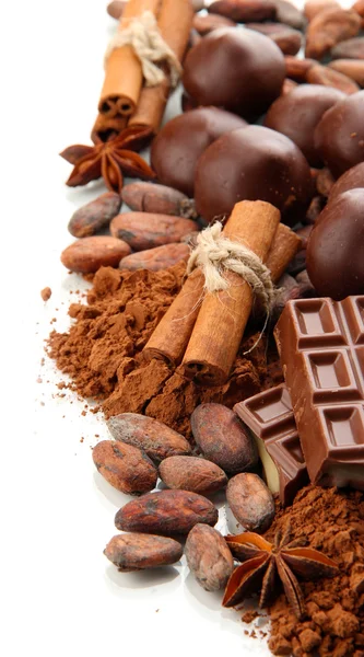 Samenstelling van chocolade snoepjes, cacao en specerijen, geïsoleerd op wit — Stockfoto