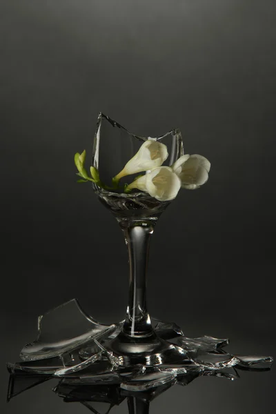 灰色の背景上の花で壊れたワイングラス — ストック写真