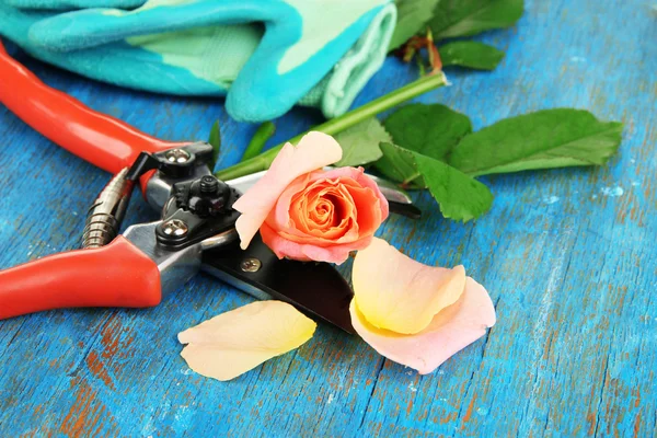 Sécateurs de jardin et rose sur table en bois close-up — Photo