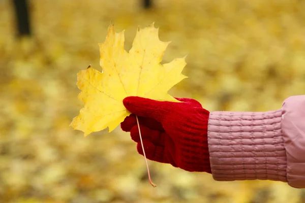 Yellow leaf in hand — Stock Photo, Image