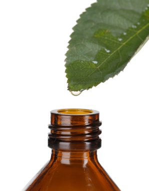 yaprak üzerine beyaz izole dan düşen damla