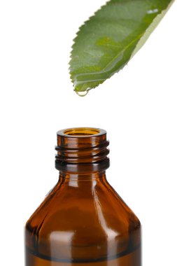 yaprak üzerine beyaz izole dan düşen damla