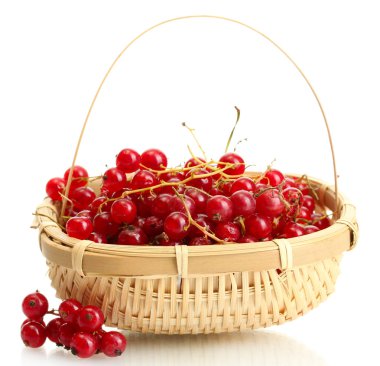 redcurrants üzerinde beyaz izole bir sepet içinde