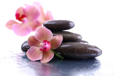 Su damlaları ve spa taşı, açık renkli güzel çiçek açan orkide ile kompozisyon