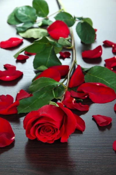 Hermosa rosa roja en la mesa de madera primer plano —  Fotos de Stock