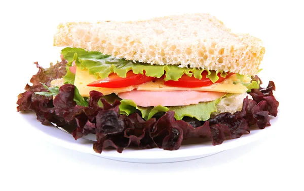 Свіжий і смачний бутерброд ізольований на білому — стокове фото