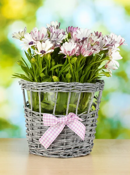 Bouquet de belles fleurs d'été en vase d'osier, sur fond vert — Photo