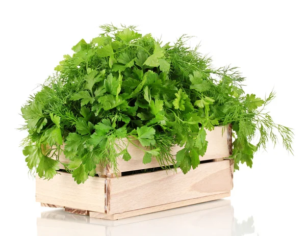 Wooden box with parsley and dill isolated on white — Stock Photo, Image