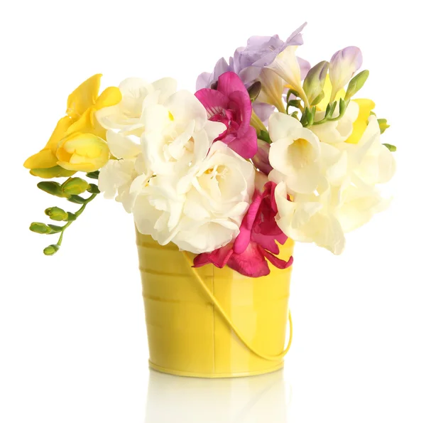 Beautiful bouquet of freesias in pail, isolated on white — Stock Photo, Image