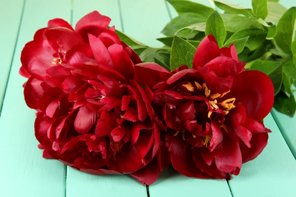 Üzerinde tablo yakın çekim güzel peonies — Stok fotoğraf