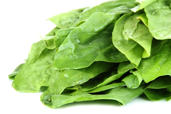 Bunch of spinach isolated on white — Stock Photo, Image