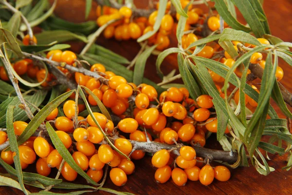 Branches of sea buckthorn on wooden background — Stock Photo, Image