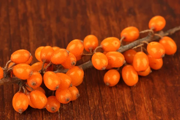 Branch of sea buckthorn on wooden background — Stock Photo, Image