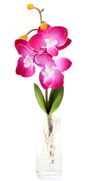 Beautiful artificial orchid, isolated on white — Stock Photo, Image