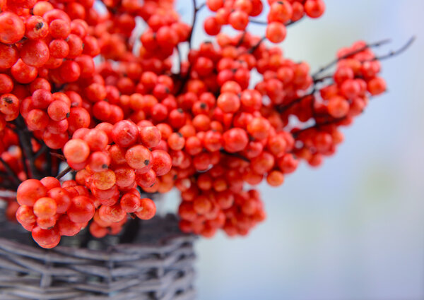 Artificial berries, on light background