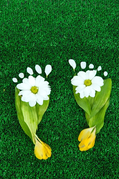 Footprints of leaves and flowers on grass close-up — Stock Photo, Image