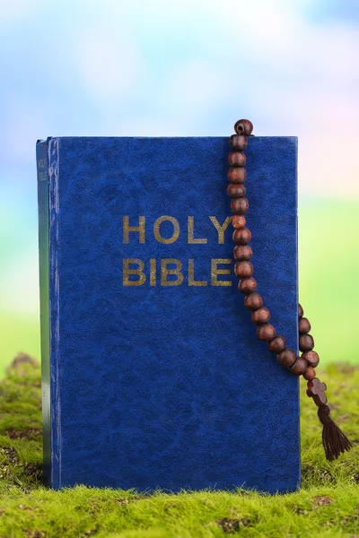 Bibel mit Kreuz auf Gras auf natürlichem Hintergrund — Stockfoto