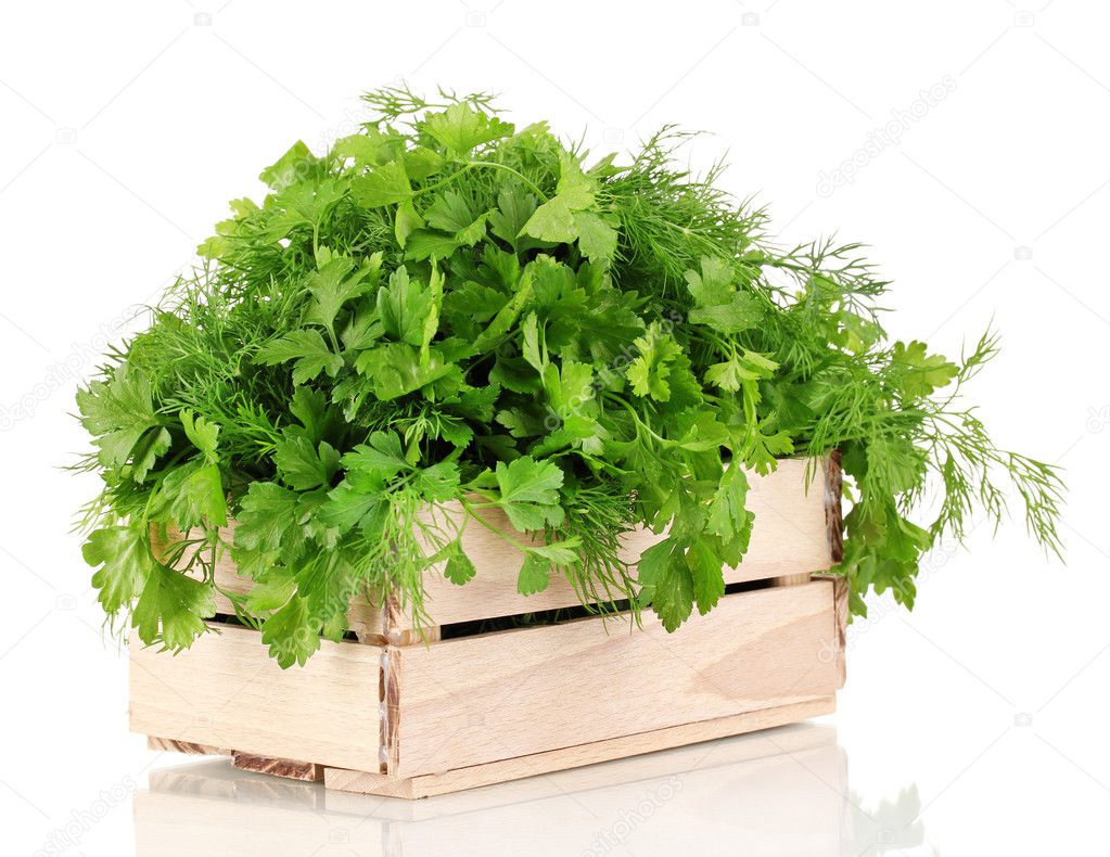 Wooden box with parsley and dill isolated on white
