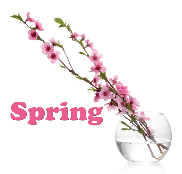 白で隔離されるガラス花瓶に美しいピンク桃の花 — ストック写真