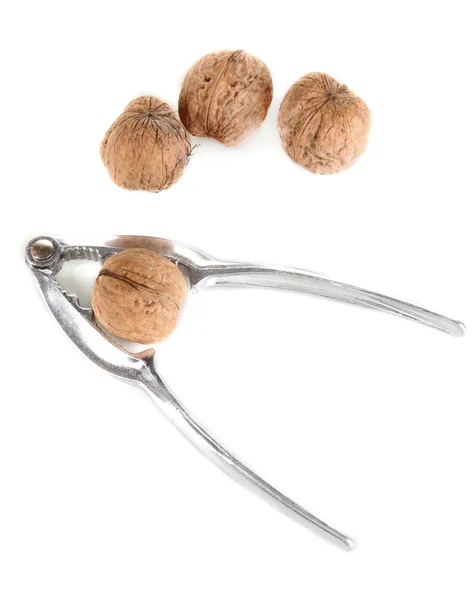Nötknäppare med nötter isolerad på vit — Stockfoto