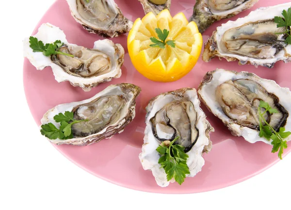 Oesters geïsoleerd op wit — Stockfoto