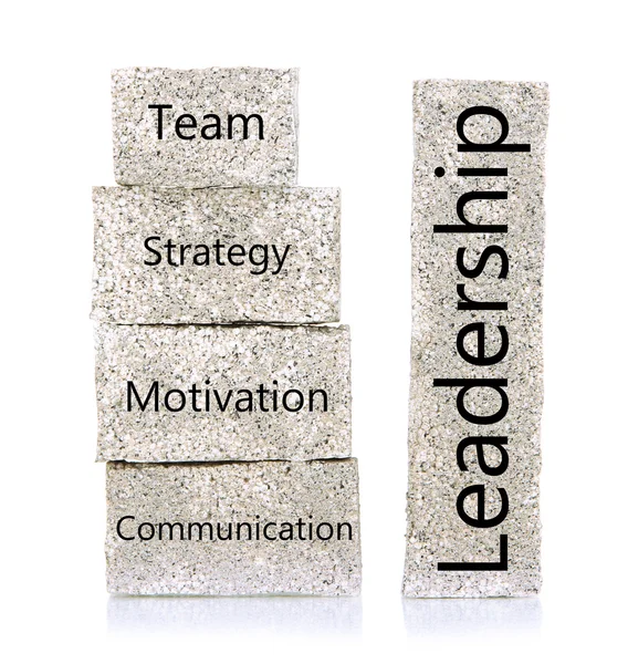 Leadership building blocks isolated on white — Stock Photo, Image
