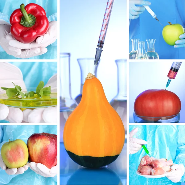 Genetic engineering laboratory. GMO food concept — Stock Photo, Image