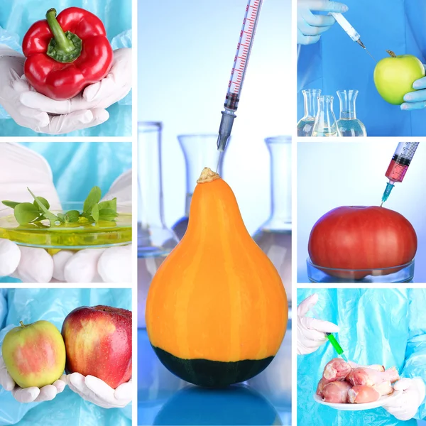 Gentechniklabor. gmo food concept — Stockfoto