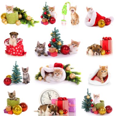 yavru kedi ve köpek yavrusu üzerinde beyaz izole Noel süslemeleri ile kolaj