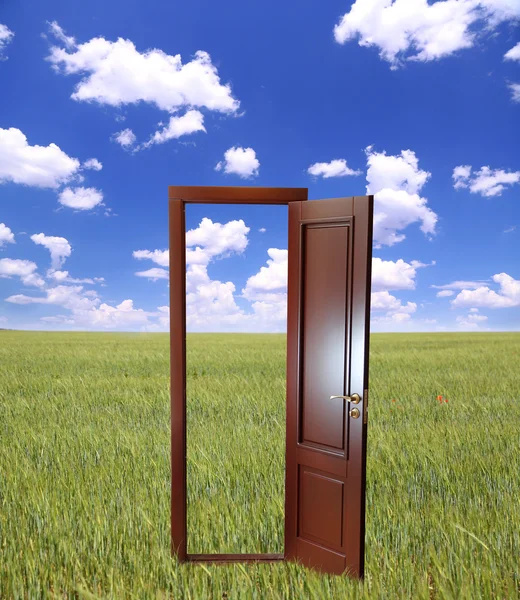 Otwarte drzwi do nowego życia na polu — Zdjęcie stockowe